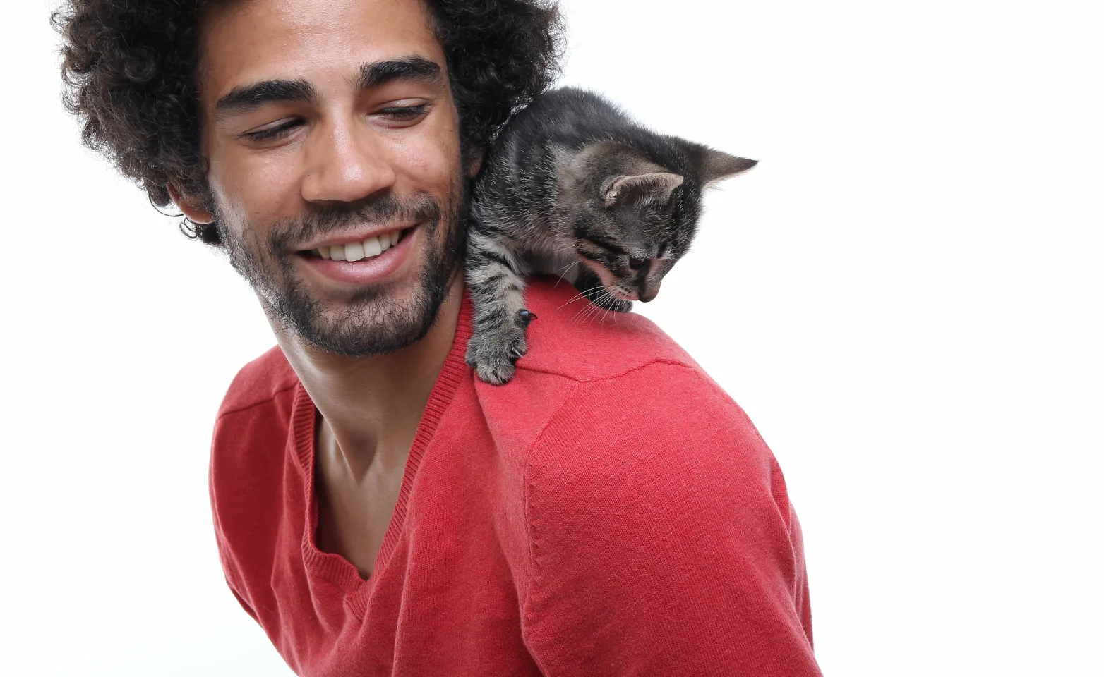 Man Red Sweater with Cat 